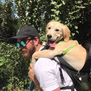 Meet your Posher, David